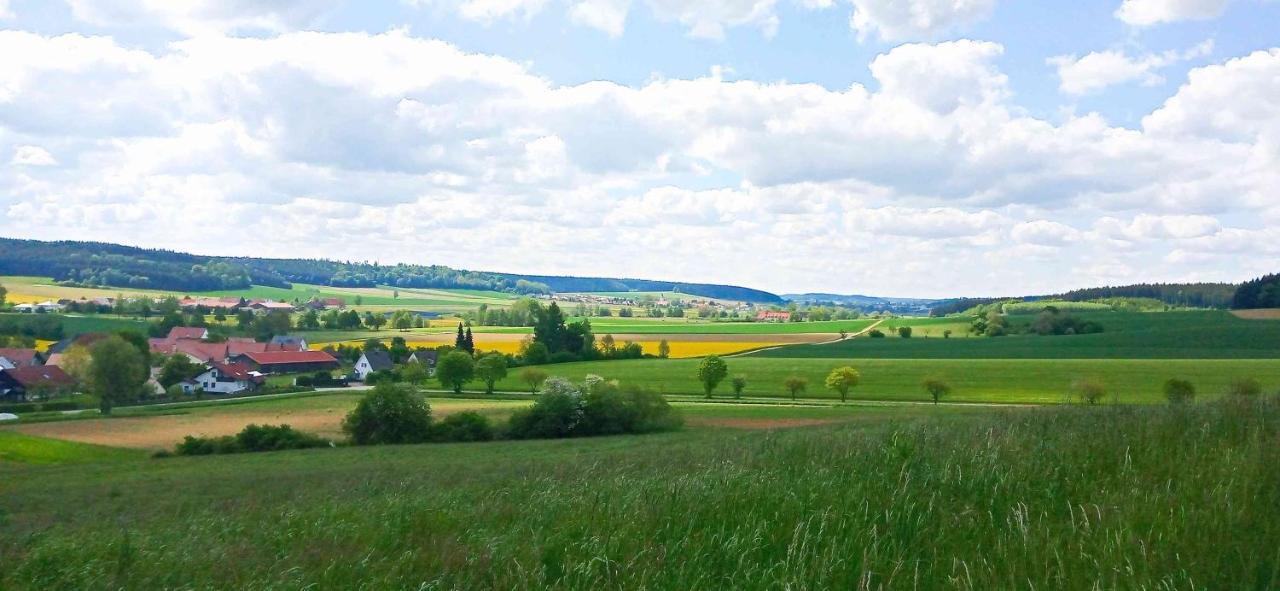 Ferienwohnung Im Barockwinkel Neuburg an der Kammel Esterno foto